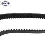 SKYWARD AUTOMOTIVE SKTB265 Engine Timing Belt