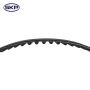 SKYWARD AUTOMOTIVE SKTB312 Engine Timing Belt