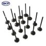 SKYWARD AUTOMOTIVE SKV2007 Engine Exhaust Valve