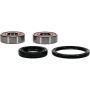 Pivot Works 25-1604-P Honda Wheel Bearing Kit Premium Bearings