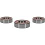Pivot Works 25-1053-P Kawasaki Wheel Bearing Kit Premium Bearings