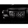Diode Dynamics DD0106P 44mm SML9 LED Bulb - Cool - White (Pair)