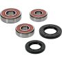 Pivot Works 25-1359-P Yamaha Wheel Bearing Kit Premium Bearings