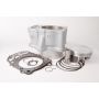 Cylinder Works 10009-K01 08-09 Honda TRX 700 XX 700cc Standard Bore Cylinder Kit 10.0:1 Comp. 102mm