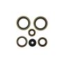 Vertex Pistons 822370 Vertex Gaskets 21-23 Gas-Gas MC125 Oil Seal Kit