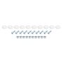 ALLSTAR PERFORMANCE ALL18681 Countersunk Bolt Kit White 10pk