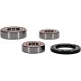 Pivot Works 25-1609-P Suzuki Wheel Bearing Kit Premium Bearings