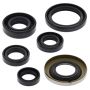 Vertex Pistons 822278 Vertex Gaskets 05-08 Honda TRX400EX Oil Seal Kit