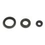 Athena P400220400263 10-12 Husqvarna TE/TXC 250 Engine Oil Seal Kit