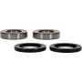 Pivot Works 25-1121-P Kawasaki Wheel Bearing Kit Premium Bearings