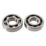 Hot Rods K051 06-09 Suzuki LT-R 450 450cc Main Bearing & Seal Kit