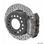 Wilwood 140-14129-D Dynapro Lug Mount Rear Dynamic Kit SA Drilled Big Ford New Style 2.50in Offset