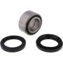 All Balls Racing 25-1434 Wheel Bearing Kits