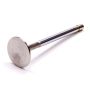 Ford Racing M-6505-B304 Exhaust Valve 302/351W