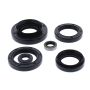 Vertex Pistons 822881 Vertex Gaskets 15-21 Kawasaki KVF750 Brute Force Oil Seal Kit