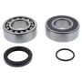 All Balls Racing 14-1072 12-13 Arctic Cat 600 Sno-Pro/CC Jack Shaft Bearing & Seal Kit Upper Shaft