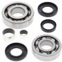 All Balls Racing 25-2054 00-02 Polaris Xplorer 250 4x4 Differential Bearing & Seal Kit Front
