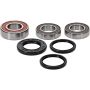 Pivot Works 25-1193-P Kawasaki Wheel Bearing Kit Premium Bearings