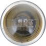 Philips 631CP Philips Standard Miniature 631 Pack of 10