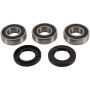 Pivot Works PWRWK-K07-521 97-02 Kawasaki KX125 PW Rear Wheel Bearing Kit