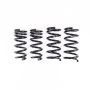 RS-R N135D 2023+ Nissan Z (RZ34) Down Sus Springs