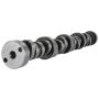 FORD FRDM6250-B303 302 Hyd Roller Camshaft