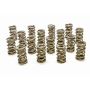 PAC RACING SPRINGS PACPAC-1208X-16 1.324 Dual Valve Springs - RPM Series (16)