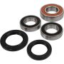 Pivot Works 25-1493-P Yamaha Wheel Bearing Kit Premium Bearings