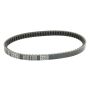 Athena S41PLAT033 Transmission Belts