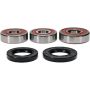 Pivot Works 25-1710-P Honda Wheel Bearing Kit Premium Bearings