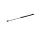 VAICO V48-0319 GAS SPRING