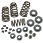 S&S Cycle 106-5909 04-19 XL Valve Spring Kit - .650in