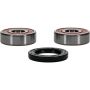 Pivot Works 25-1323-P Wheel Bearing Kit