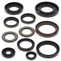 Vertex Pistons 822202 Vertex Gaskets 98-01 Yamaha YFM600 Grizzly Oil Seal Kit