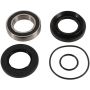Pivot Works PWRWK-H71-000 07-13 Honda TRX420 FE PW Rear Wheel Bearing Kit