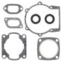 Vertex Pistons 711043 Vertex Gaskets  Jlo-cuyuna L227/L230 FC/1 Complete Gasket Kit w/ Oil Seals