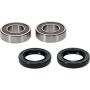 Pivot Works 25-1403-P Wheel Bearing Kit
