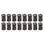 PAC RACING SPRINGS PACPAC-1244-16 1.570 Dual Valve Spring CT 1200 Series