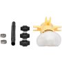 Bosch 66089 Bosch Electric Fuel Pump, In-Tank