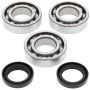 All Balls Racing 24-1078 1993 Polaris Big Boss 250 6x6 Crank Shaft Bearing Kit