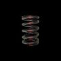 Brian Crower BC1030-1 Honda H22/Nissan SR20VE Dual Valve Spring - Single
