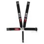 Seat Belts Ratchet On Left 3in Belts All Wrap