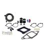 Nitrous Express 67170-00 4500 Assasin Plate, RNC Up to 750HP, No Bottle