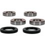 Pivot Works 25-1592-P Cagiva, Kymco Wheel Bearing Kit Premium Bearings