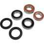 Pivot Works 25-1563-P Honda Wheel Bearing Kit Premium Bearings