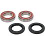 Pivot Works 25-1116-P Honda, Yamaha Wheel Bearing Kit Premium Bearings