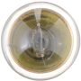 Philips 67CP Philips Standard Miniature 67 Pack of 10