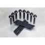S&S Cycle 900-1176 2017 M8 Models Cylinder Stud & Head Bolt Kit - 8 Pack