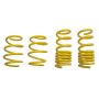 Suspension (28230052 ST LOWERING SPRINGS)