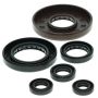 Vertex Pistons 822209 Vertex Gaskets 98-01 Honda TRX450ES Oil Seal Kit